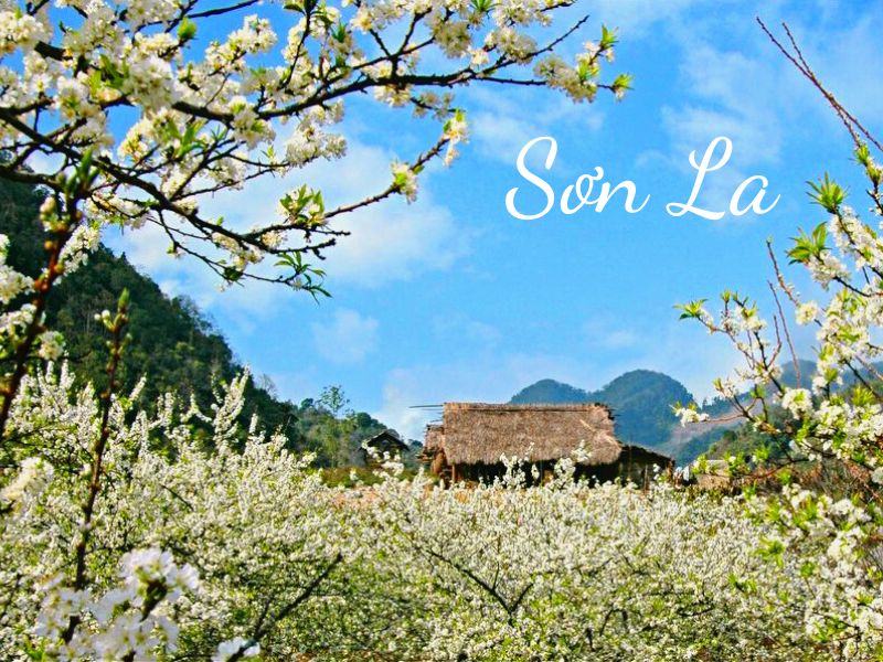 SƠN LA