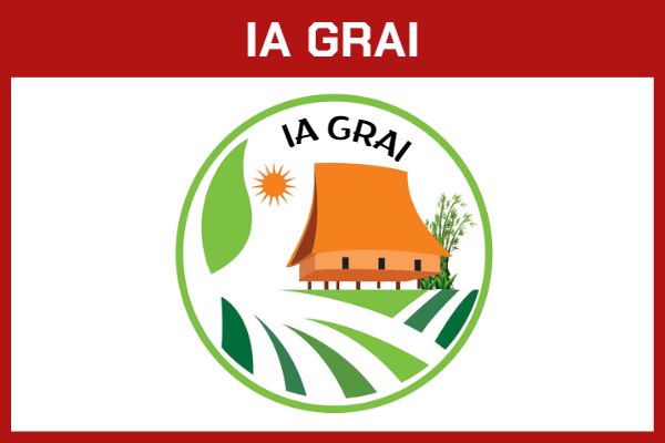 IA GRAI