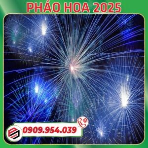 Những Địa Điểm Bắn Pháo Hoa Năm Mới Tết Dương Lịch 2025 Tại Thành Phố Hồ Chí Minh